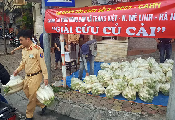Đội CSGT số 2, Công an TP Hà Nội "giải cứu" củ cải giúp người dân Đông Anh.