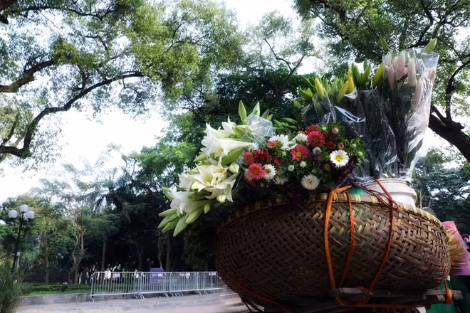 Gánh hoa rong vẫn hàng ngày rong ruổi khắp phố phường Hà Nội mang cái đẹp tới cho tất cả những ai yêu cái đẹp của loài hoa loa kèn.