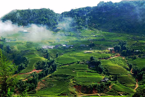 Phát triển Vùng trung du miền núi Bắc bộ phải đi liền với bảo vệ rừng