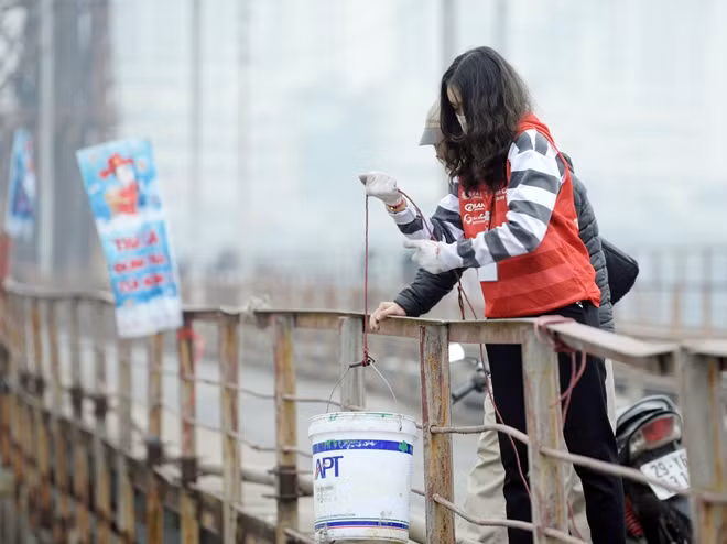 Cá được cho vào xô nhựa trước khi đưa xuống sông.