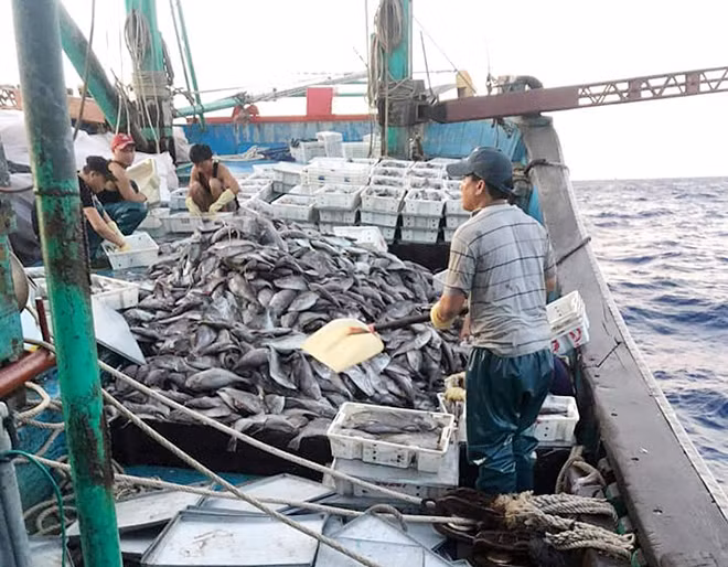 Tàu cá của anh Trương Thành cùng các ngư dân trước khi bị sóng đánh chìm