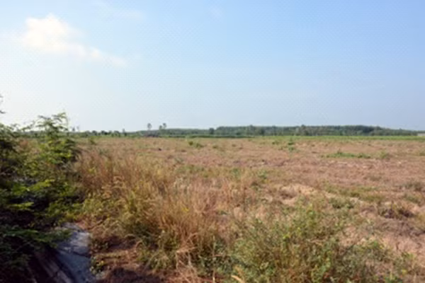 Một phần khu đất hợp tác kinh doanh của Trại giam Xuyên Mộc với Công ty A.K.K. Một phần khu đất hợp tác kinh doanh của Trại giam Xuyên Mộc với Công ty A.K.K.