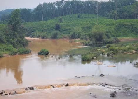 Con sông Tiên hai màu.