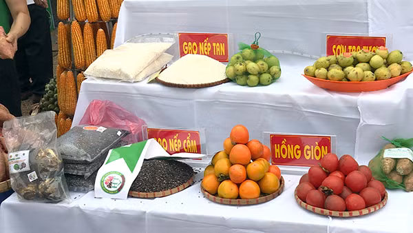 Các gian hàng tại Hội chợ Nông sản