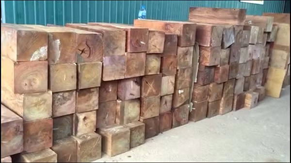 Gỗ lậu bị thu giữ là gỗ hương và gỗ cẩm thuộc loại gỗ quý.