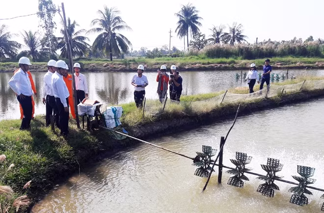 Nhân viên Điện lực Sóc Trăng tuyên truyền cho người dân Vĩnh Châu về cách sử dụng điện tiết kiệm và an toàn trong nuôi tôm.