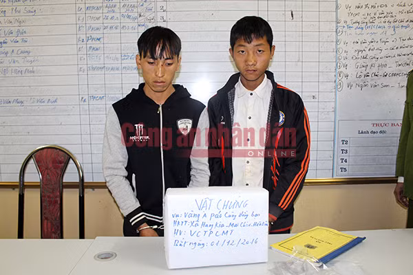 Hai đối tượng Vàng A Páo và Khà A Cải cùng tang vật 16 bánh heroin. Hai đối tượng Vàng A Páo và Khà A Cải cùng tang vật 16 bánh heroin.