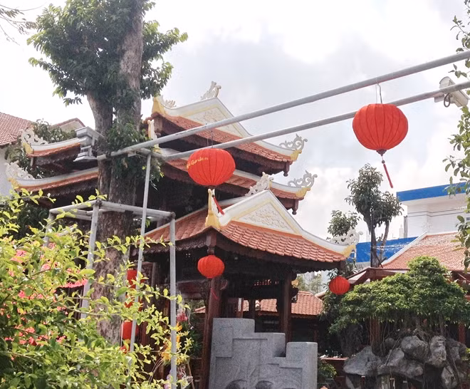 Một trong số 10 cây gỗ rừng được trồng trái phép tại Nhà hàng “Tuy Hòa xưa”
