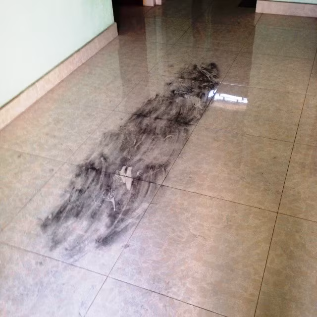 Một số dấu vết tại hiện trường.