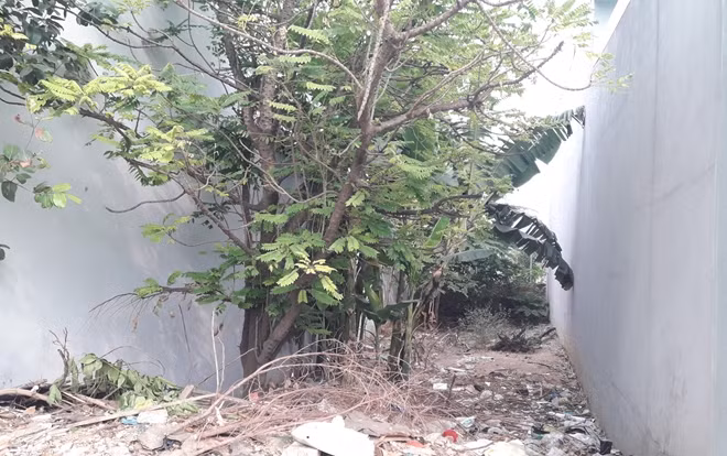 Khu đất nuôi vịt sát bên cạnh nhà ông Phan Văn Sáu (hiện đã để không).