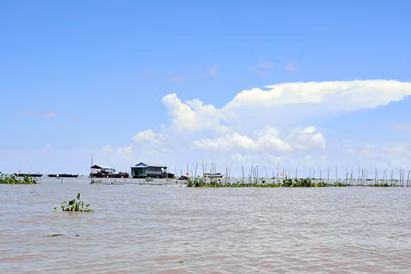 Một góc Biển Hồ (Vương quốc Campcuhia) đầu mùa mưa 2017.