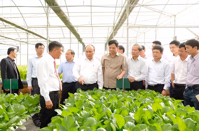Ảnh VGP/Quang Hiếu