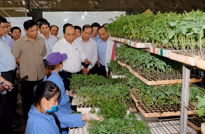 Ảnh VGP/Quang Hiếu