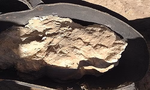 Phô mai chứa vi khuẩn gây bệnh Brucella trong hũ