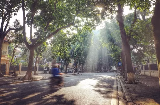 Miền Bắc trời hửng nắng ấm. Miền Bắc trời hửng nắng ấm.