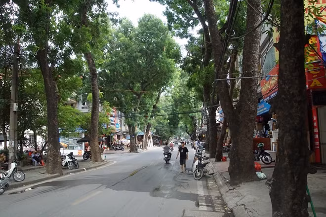 Đường Đê La Thành nằm trong dự án tuyến đường vành đai 1 đoạn Hoàng Cầu - Voi Phục vốn đã đi sâu vào ký ức của người dân Hà Nội với hàng xà cừ lâu năm luôn tỏa bóng mát cho người dân đi đường.
