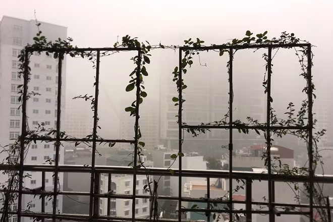 Thật khó để có thể phóng tầm mắt ra xa trong ngày sương mù hôm nay