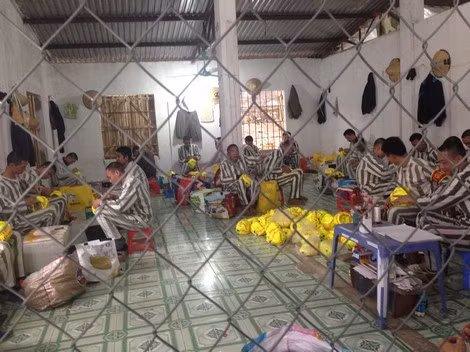 Những phạm nhân nhiều tiền án và có án dài như Thành thường phải lao động trong rào vây.