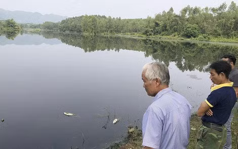 Gần đây rất nhiều hộ dân phản ánh cá nuôi trong ao thường xuyên chết nổi.