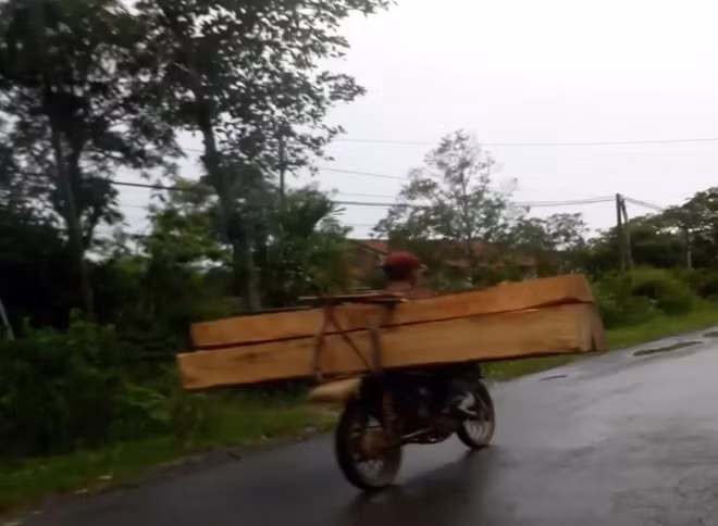 Một hình ảnh về nạn phá rừng ở huyện Đạ Tẻh, tỉnh Lâm Đồng.