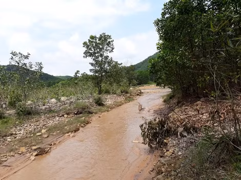 Tại dòng sông Bồng Miêu, đoạn qua thôn Bồng Miêu, xã Tam Lãnh, dòng nước đục ngầu đậm mùi cyanua.