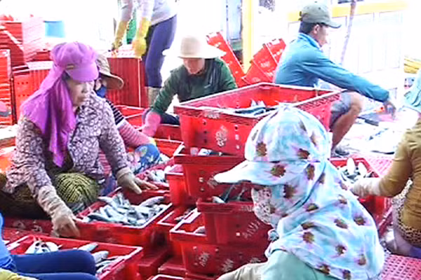 Ảnh mang tính chất minh họa