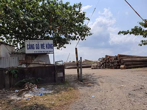 Xem xét dỡ bỏ hàng rào Công viên Thống Nhất ảnh 2