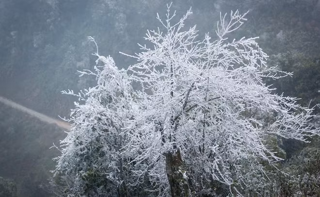 Hiện tượng thiên nhiên kỳ thú này thu hút khách du lịch nhưng đi cùng với nó là ảnh hưởng rất xấu tới việc chăn nuôi, trồng trọt của người dân do thời tiết giá lạnh.