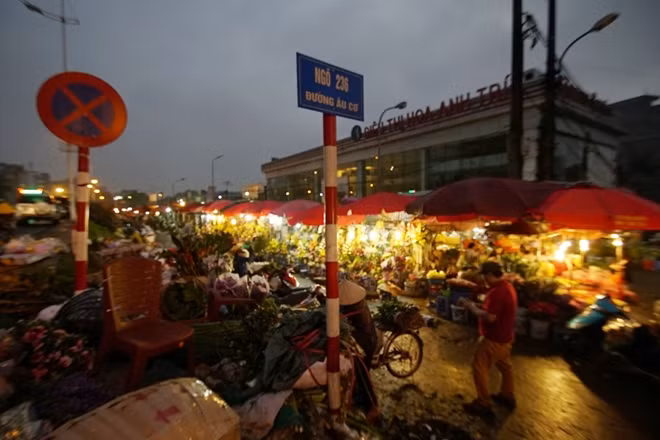 Từ 6h sáng, chợ hoa Quảng Bá (Hà Nội), một trong những chợ hoa lớn và lâu đời nhất ở Hà Nội đã vô cùng đông đúc.