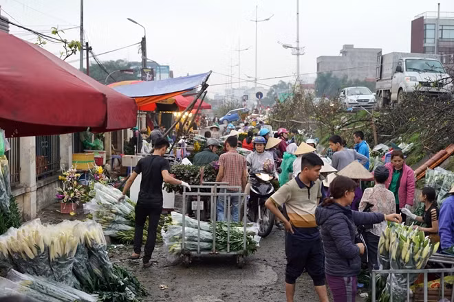 Tuy đã khá sát ngày 8-3 nhưng giá hoa dịp 8-3 năm nay không có nhiều biến động so với ngày thường
