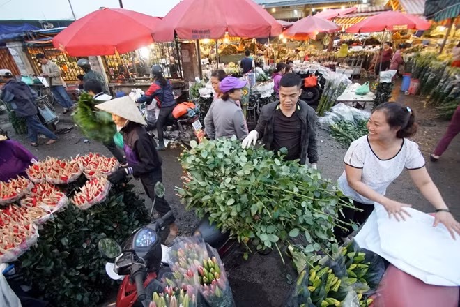 Chia sẻ với PV, một nông dân làng hoa Tây Tựu cho biết "Năm nay là một trong những năm mà giá hoa thấp nhất vào dịp 8-3. Hoa dịp Tết vừa rồi cũng ế ẩm, những ngày gần 8-3 như thế này cũng không thấy cải thiện hơn chút nào. Nông dân trồng hoa vẫn là người chịu thiệt nhiều nhất".
