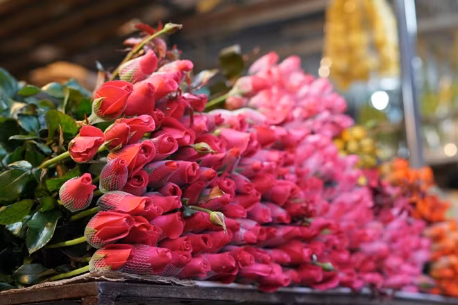 Chợ hoa như thành một "thiên đường" hoa đa dạng sắc màu.