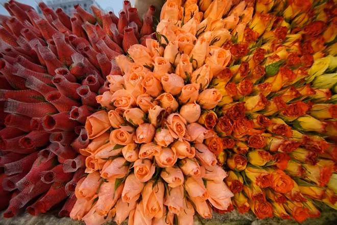 Nguồn hoa tươi cho ngày 8-3 bày bán tại đây được nhâp từ khắp các vườn hoa trên cả nước như vườn Đà Lạt, Mê Linh (Vĩnh Phúc), Tây Tựu... Đây đều là những loại hoa đẹp đã qua tuyển chọn hết sức kỹ càng.