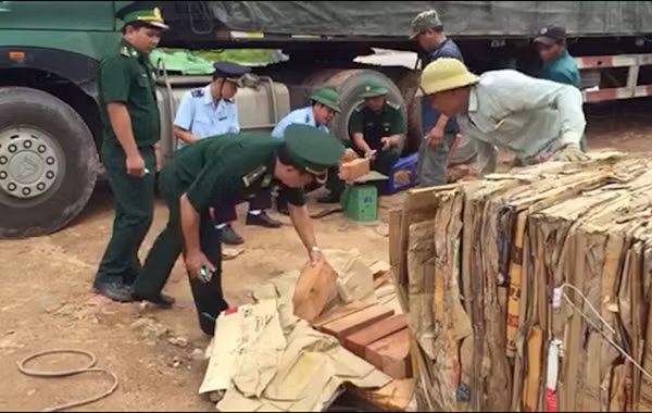 Gỗ lậu bị lực lượng chức năng bắt giữ