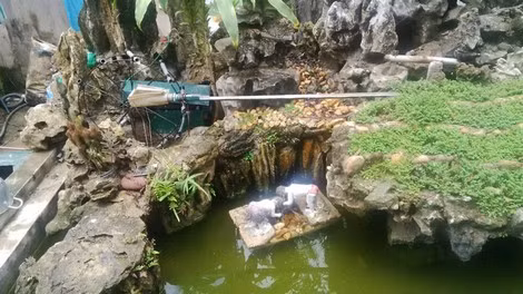 Hòn non bộ trước nhà cũng được ông Thân tận dụng những phế liệu cũ và là sân khấu biểu diễn đặc biệt