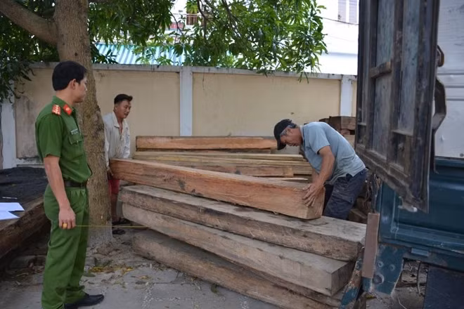 Số gỗ vận chuyển trái phép.