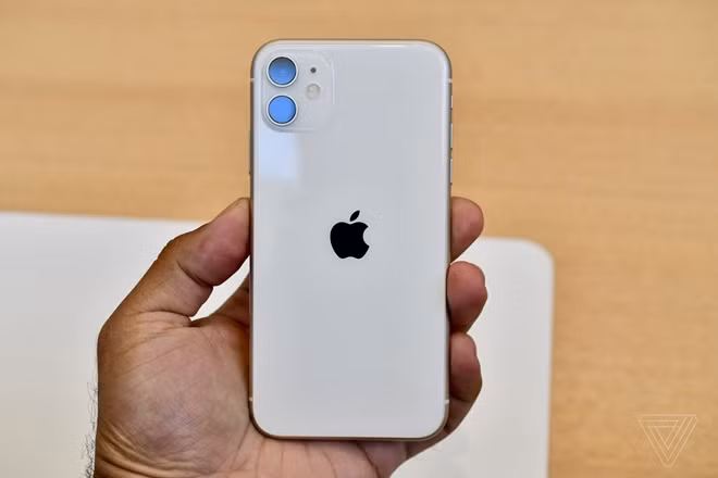 Mặt sau của iPhone 11 với cụm camera kép.