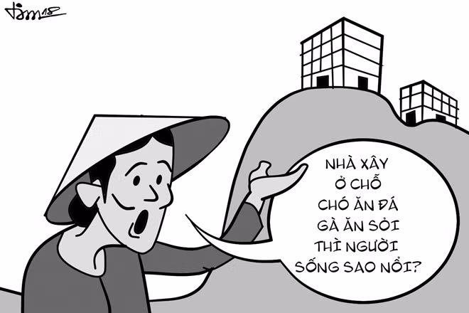 Minh họa Lê Tâm