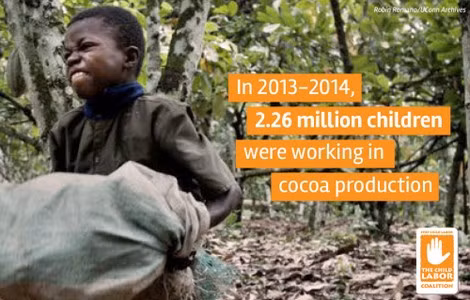 Trẻ em phải làm việc như nô lệ tại các đồn điền cacao.