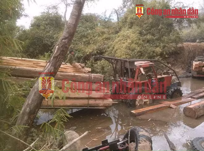 Một số xe gỗ của Phượng “râu” hoạt động dọc suối Đắk Đam.