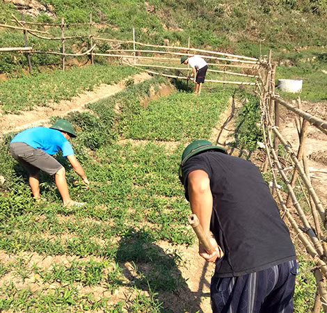 Các học viên trên đảo tăng gia sản xuất.