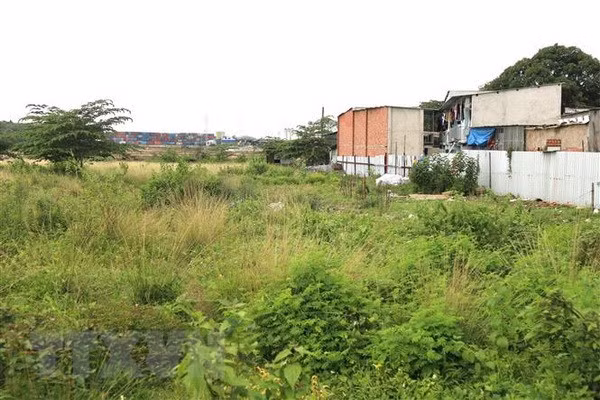 Ảnh chỉ có tính minh họa