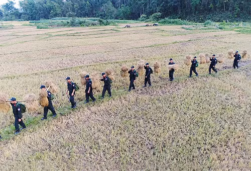 Tuổi trẻ Cảnh sát Cơ động giúp nhân dân thu hoạch mùa màng và xây dựng điểm trường mầm non.