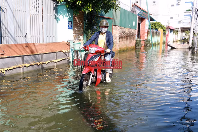 16h chiều ngày 24-8 (tức sau bão Dianmu 6 ngày), khu vực dân cư thuộc cụm 5, tổ 36 phường Tứ Liên (Tây Hồ, Hà Nội) vẫn chìm trong biển nước.