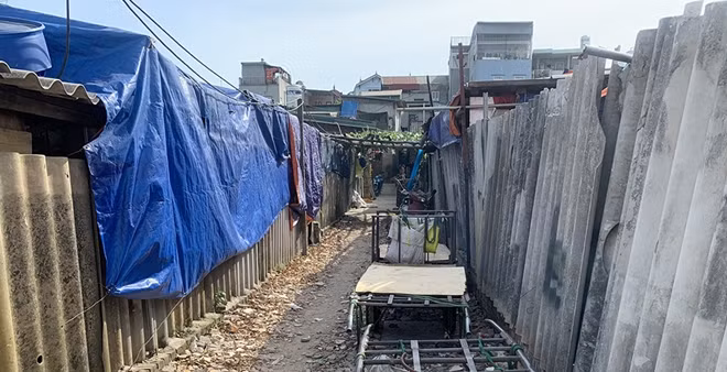 Lối nhỏ dẫn vào xóm trọ.