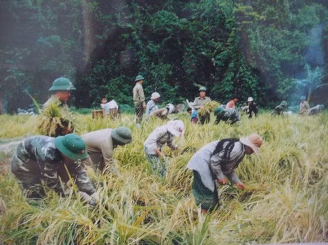 Từ tộc người chỉ biết săn bắt, hái lượm, nay người Rục đã biết trồng lúa nước, sinh sống ổn định ở xã Thượng Hóa, Minh Hóa, Quảng Bình.