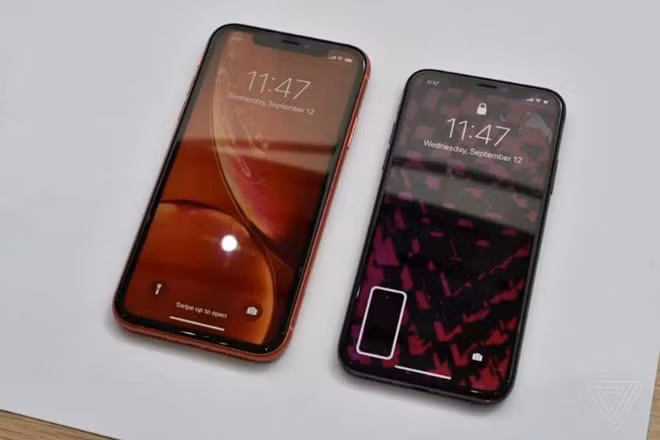 iPhone XR (trái) đặt cạnh iPhone X. Có thể dễ dàng nhận thấy, viền màn hình của Xr khá dày, điều này được cho là hạn chế của màn hình LCD khi Apple quyết định sử dụng thay cho màn hình OLED để giảm giá thành