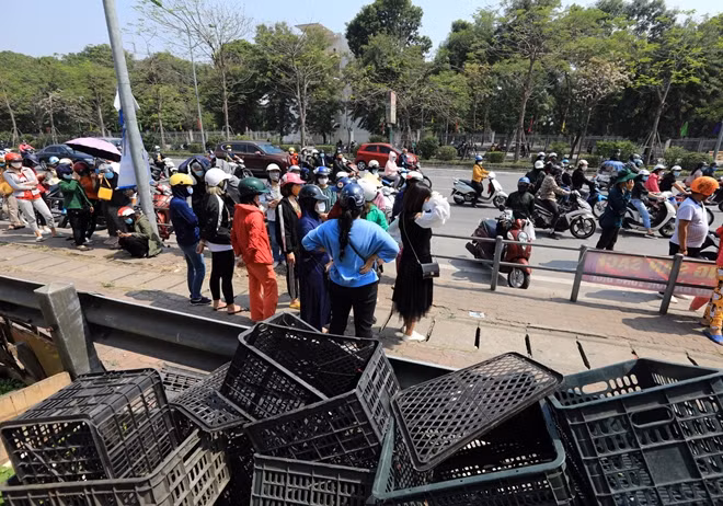 Hàng chục tấn nông sản đến từ Hải Dương đã được tiêu thụ chớp nhoáng góp phần ủng hộ bà con nông dân vùng dịch.