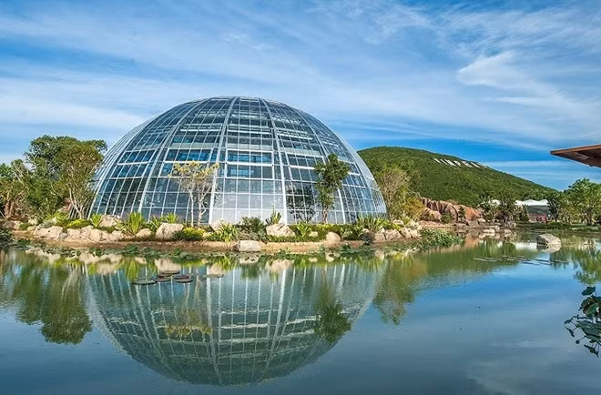 Bên trong nhà kính hiện đại trên đồi Vạn Hoa ở Vinpearl Nha Trang, hàng trăm ngàn đóa hoa Tulip đang khoe sắc trước thềm xuân Mậu Tuất.