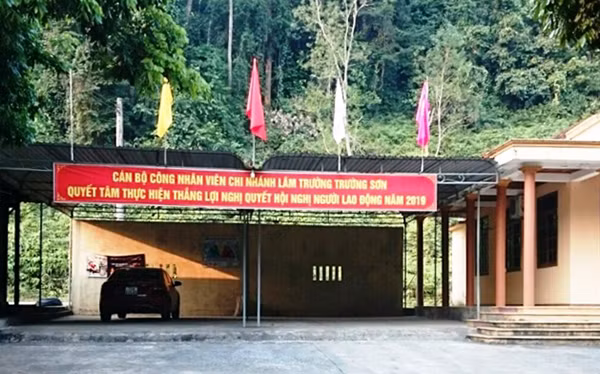 Lâm trường Trường Sơn đơn vị đã để xảy ra vụ phá rừng quy mô lớn.